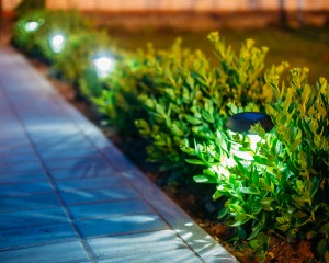 Illuminated walkway at night.